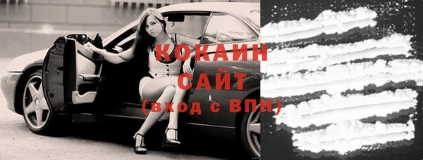 Альфа ПВП Верея