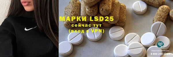 Альфа ПВП Верея