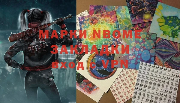 Альфа ПВП Верея